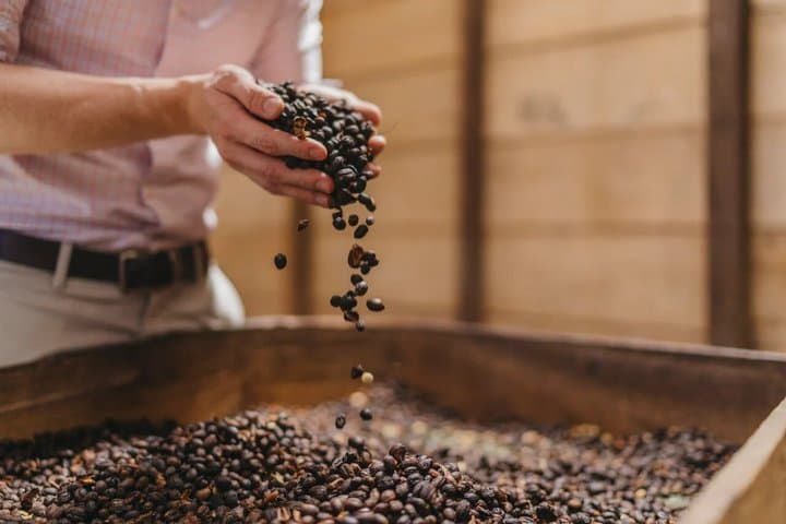 Half Day Tour: Coffee Tour + Poás Volcano from San Jose